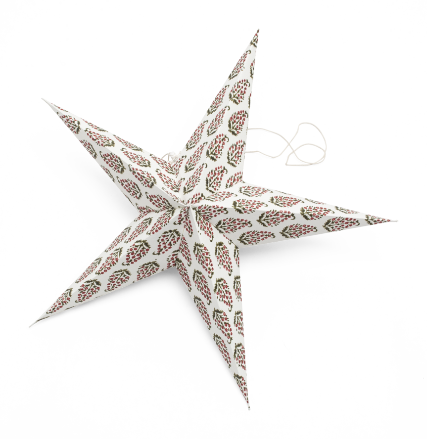 Big Star with Persian Paisley in Red, Green & White