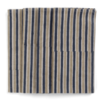 Napkins with Stripe Multi print in Beige & Blue