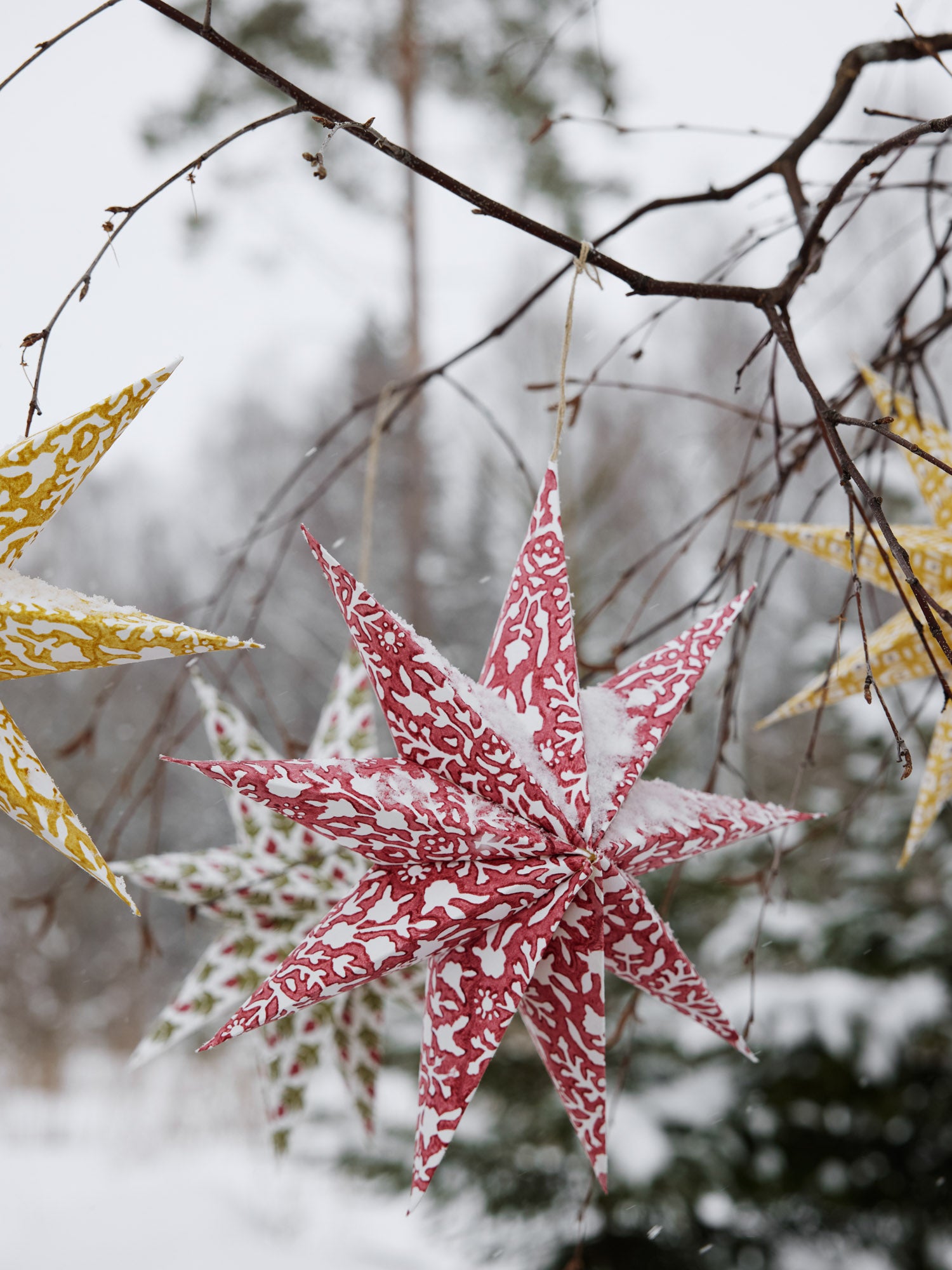 Stars with mixed print in Red & Green