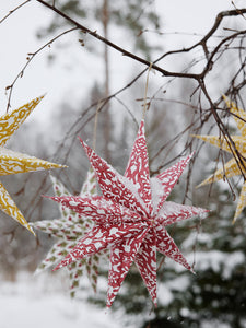 Stars with mixed print in Red & Green